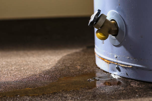 Best 24/7 water damage repair  in Ofallon, IL