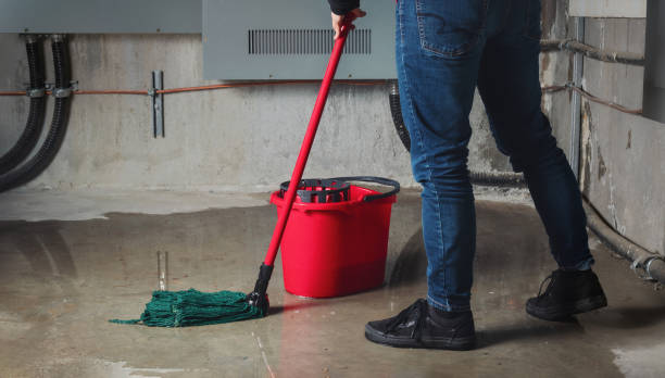 Best 24-hour water damage restoration  in Ofallon, IL